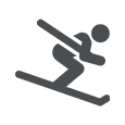 Icon mit Skifahrer